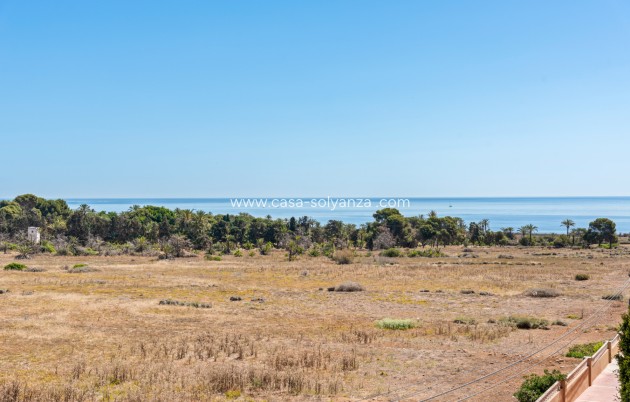 Resale - Apartment / flat - Punta Prima - Beachside
