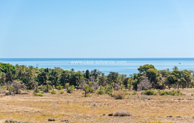 Resale - Apartment / flat - Punta Prima - Beachside