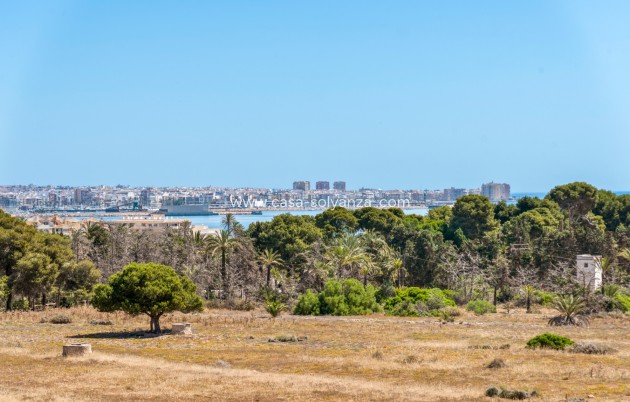 Resale - Apartment / flat - Punta Prima - Beachside