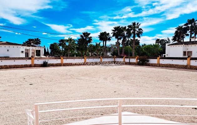 Revente - Country Property/Finca - Catral - Catral - Country