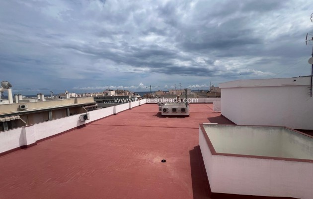 Wiederverkauf - Wohnung - Torrevieja - Center