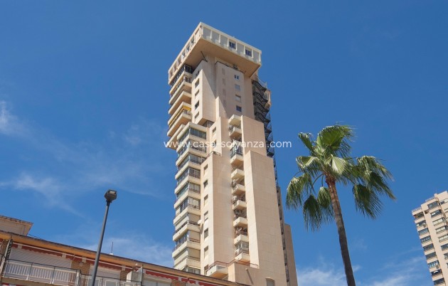 Wiederverkauf - Wohnung - Benidorm
