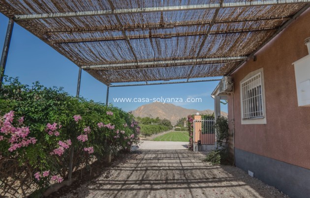 Resale - Country Property/Finca - Orihuela - San Bartolome