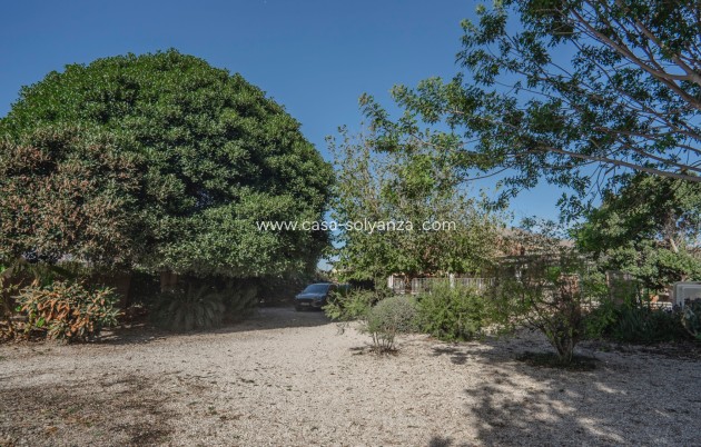 Resale - Country Property/Finca - Orihuela - San Bartolome