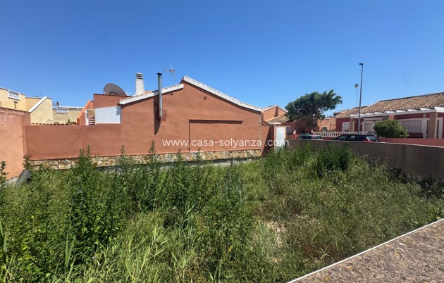 Herverkoop - Land - Daya Nueva