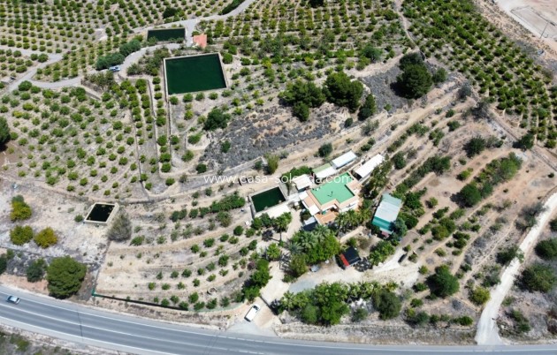 Revente - Country Property/Finca - Cautivador - Inland