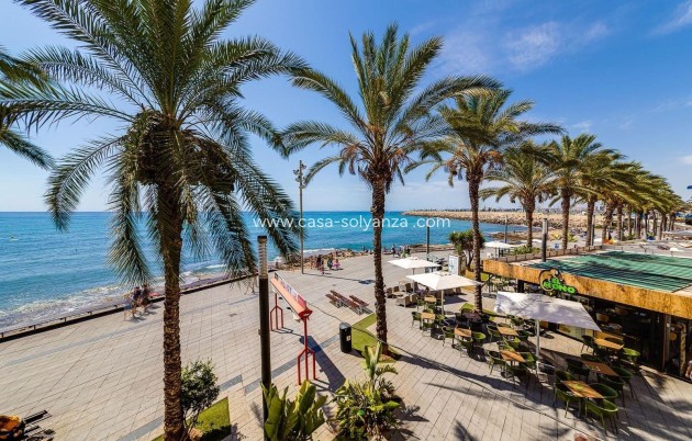 Resale - Apartment / flat - Torrevieja - Paseo Maritimo