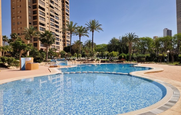 Reventa - Apartamento / piso - Benidorm - Costa Blanca