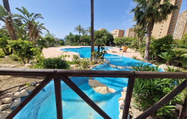 Reventa - Apartamento / piso - Benidorm - Costa Blanca