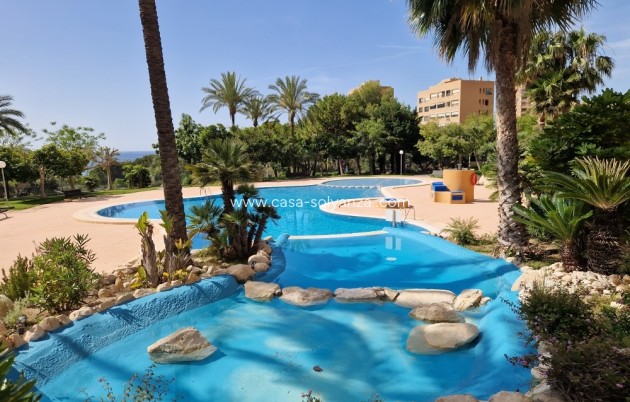 Reventa - Apartamento / piso - Benidorm - Costa Blanca
