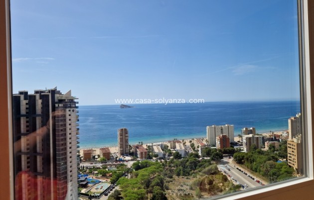 Reventa - Apartamento / piso - Benidorm - Costa Blanca