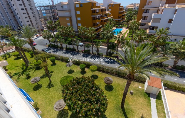 Wiederverkauf - Wohnung - Torrevieja - Costa Blanca