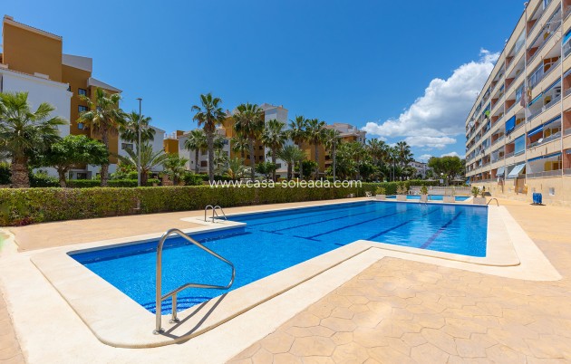 Wiederverkauf - Wohnung - Torrevieja - Costa Blanca