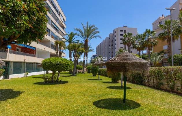 Wiederverkauf - Wohnung - Torrevieja - Costa Blanca