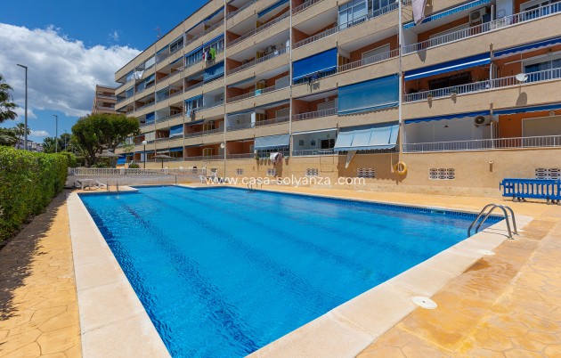 Wiederverkauf - Wohnung - Torrevieja - Costa Blanca