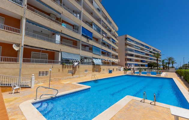 Wiederverkauf - Wohnung - Torrevieja - Costa Blanca