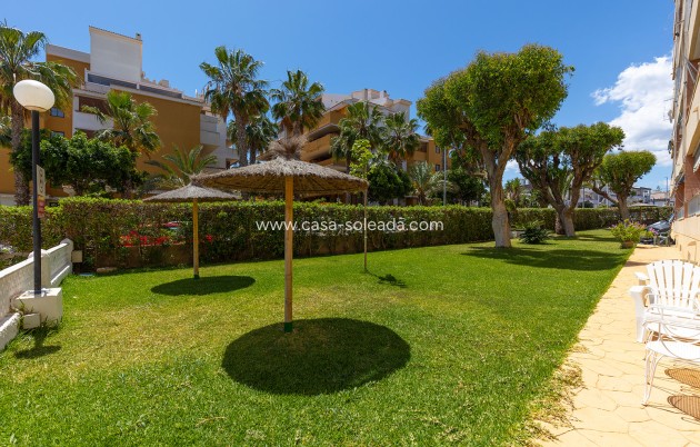 Wiederverkauf - Wohnung - Torrevieja - Costa Blanca