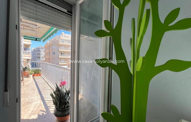 Revente - Appartement - Torrevieja - Estacion Autobuses