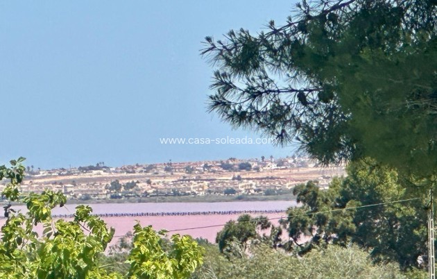 Revente - Appartement - Torrevieja - Los Balcones