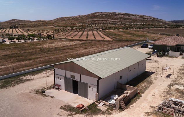 Revente - Country Property/Finca - Torre Del Rico