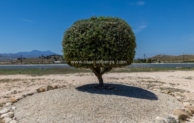 Revente - Country Property/Finca - Torre Del Rico