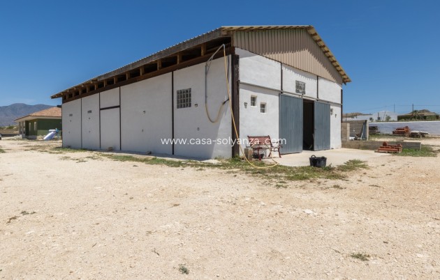 Revente - Country Property/Finca - Torre Del Rico