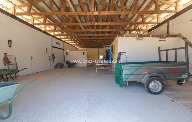 Revente - Country Property/Finca - Torre Del Rico