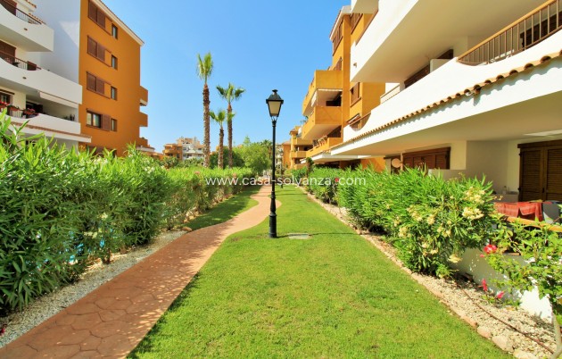 Wiederverkauf - Wohnung - Punta Prima