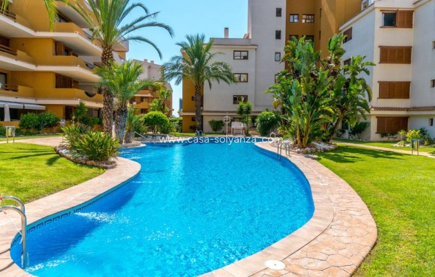 Wiederverkauf - Wohnung - Punta Prima