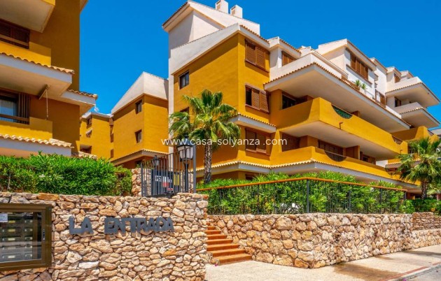 Wiederverkauf - Wohnung - Punta Prima