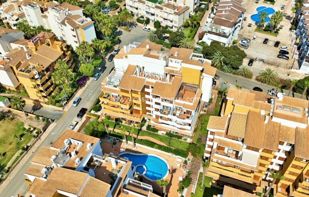 Wiederverkauf - Wohnung - Punta Prima