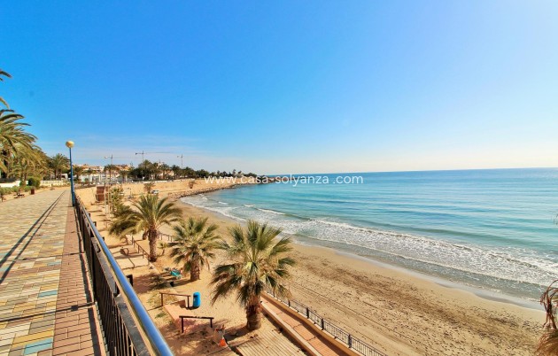 Wiederverkauf - Wohnung - Punta Prima