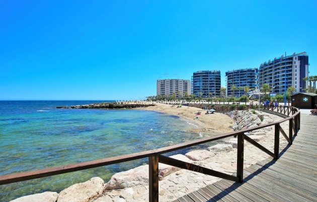 Wiederverkauf - Wohnung - Punta Prima