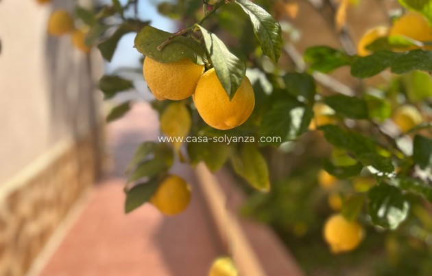 Resale - Villa - Algorfa - Lomas de Juliana