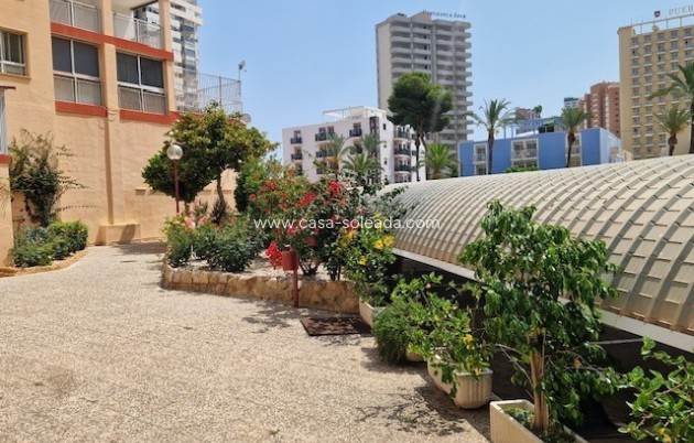 Revente - Appartement - Benidorm - Costa Blanca