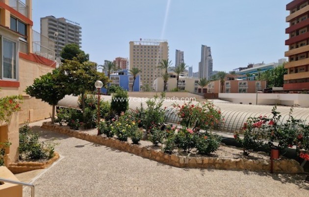 Revente - Appartement - Benidorm - Costa Blanca