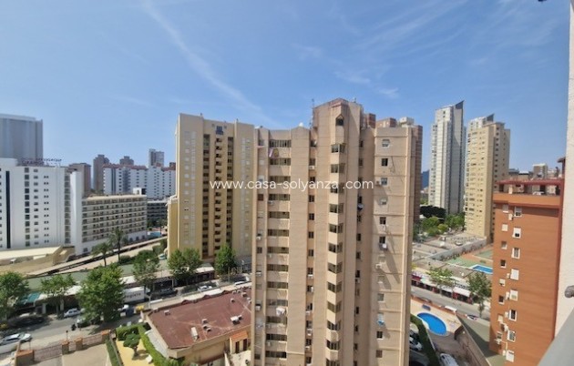 Revente - Appartement - Benidorm - Costa Blanca