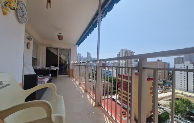 Revente - Appartement - Benidorm - Costa Blanca