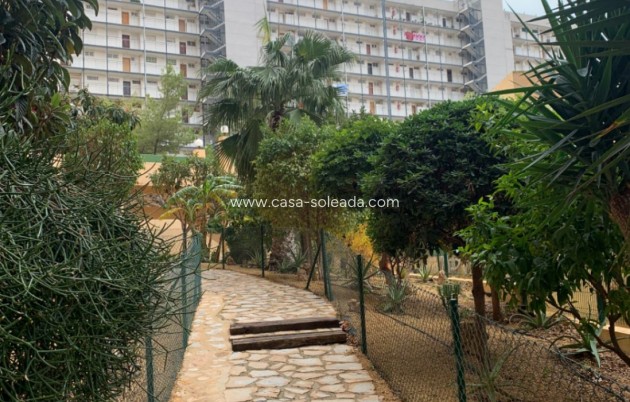Revente - Appartement - Benidorm - Costa Blanca