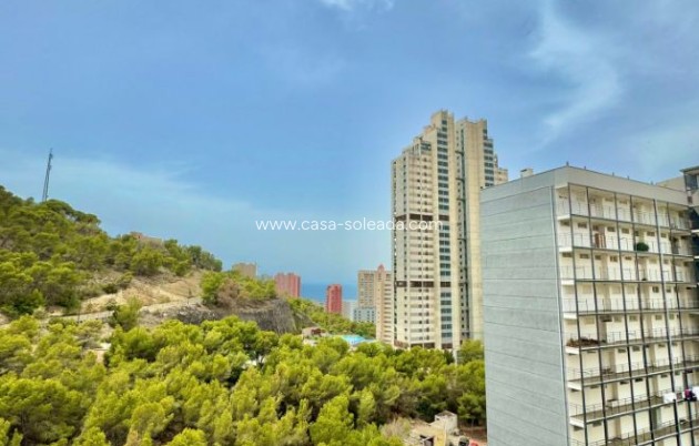 Revente - Appartement - Benidorm - Costa Blanca