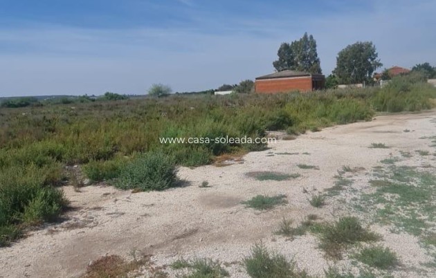 Revente - Land - La Hoya - La Hoya-daimes-el Derramador