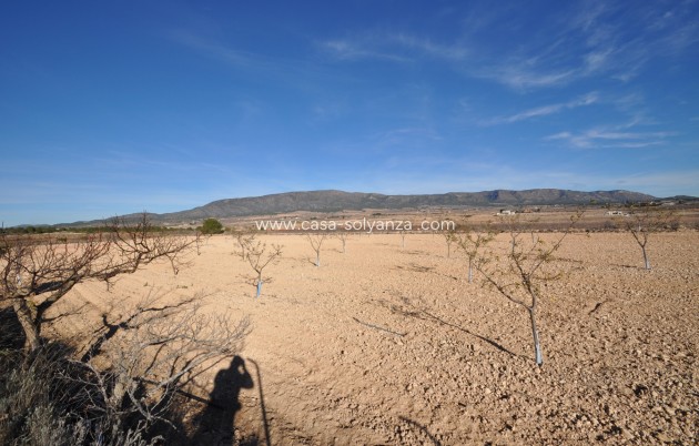 Revente - Villa - Pinoso - Inland