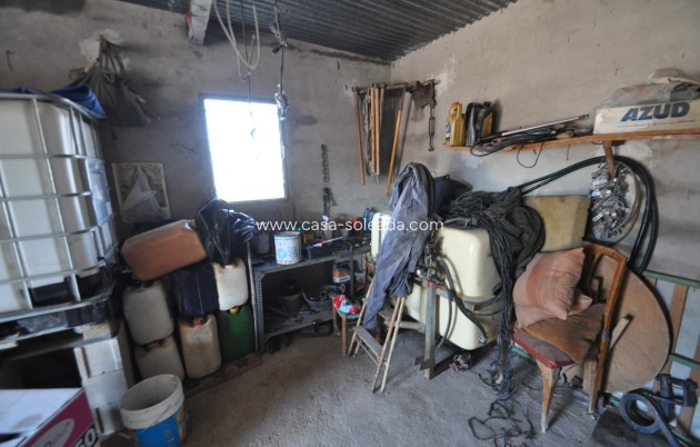 Revente - Villa - Pinoso - Inland