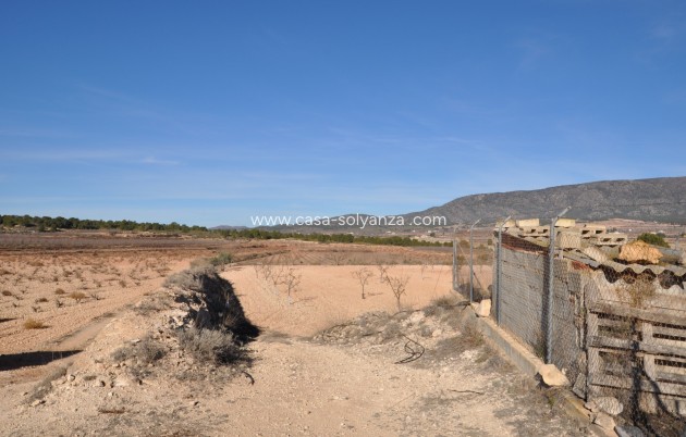 Revente - Villa - Pinoso - Inland