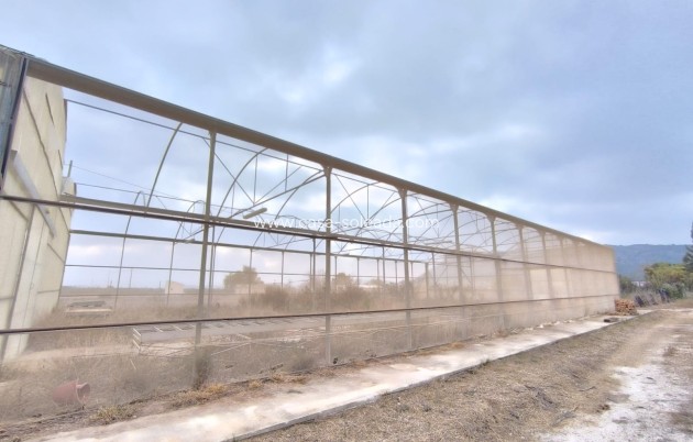 Revente - Commercial - Aspe - Inland
