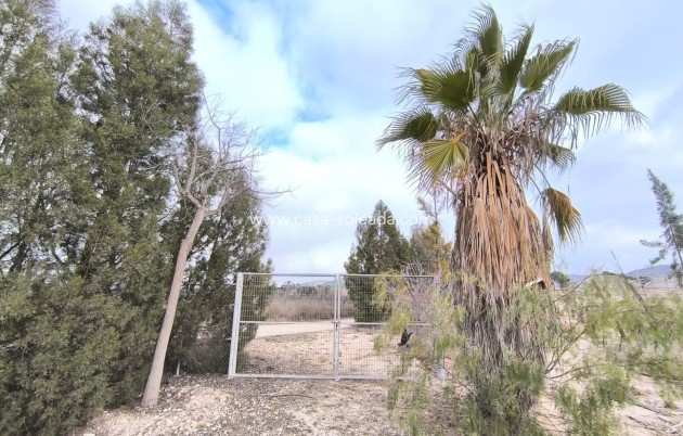 Revente - Commercial - Aspe - Inland