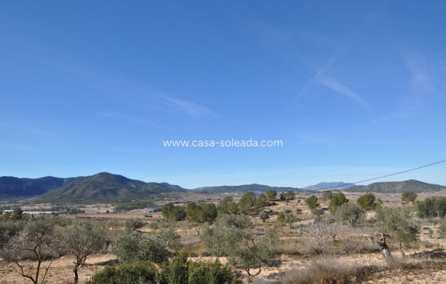 Revente - Country Property/Finca - Monóvar - Inland