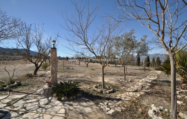 Revente - Country Property/Finca - Salinas - Inland