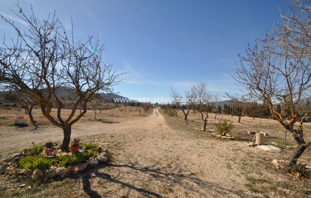 Revente - Country Property/Finca - Salinas - Inland