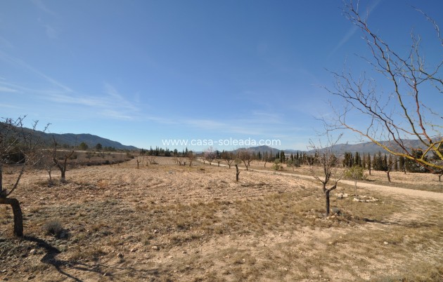 Revente - Country Property/Finca - Salinas - Inland